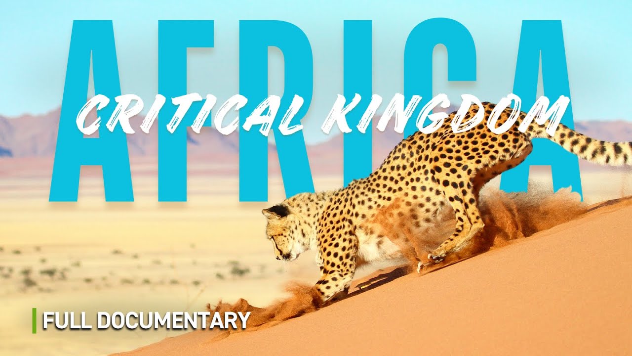 Africa's Wildlife: A Fight for the Future | Full Nature Documentary
