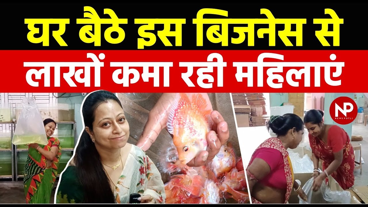 Ornamental Fish Farming in India: How West Bengal Became Hub for Aquarium Fish farming ll रंगीन मछली