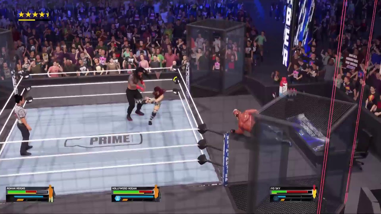 WWE double player.
