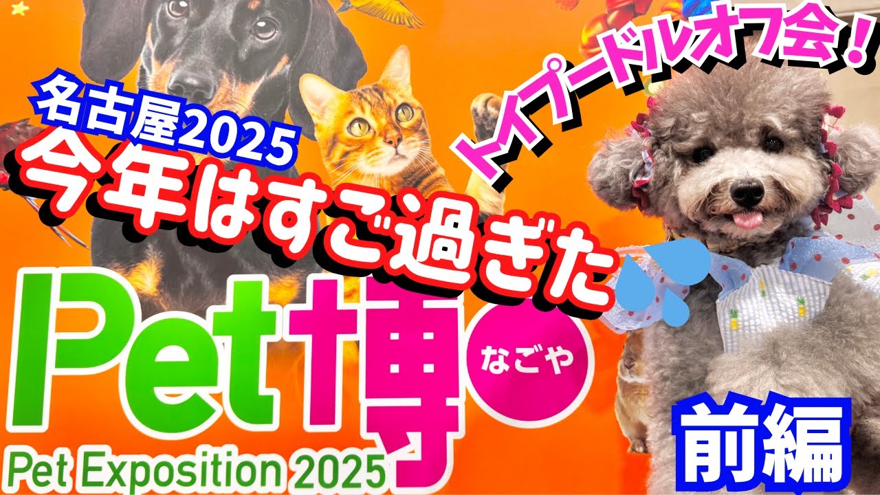【Pet博2025名古屋 速報】国内最大級ペットイベントがすごすぎた💦前編【ポートメッセ名古屋】