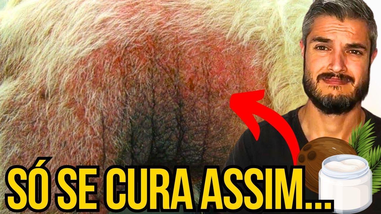 ÚNICA MANEIRA DE ELIMINAR A MALASSEZIA DA PELE DO CACHORRO COM COCEIRA E FUNGOS CAINDO PELO