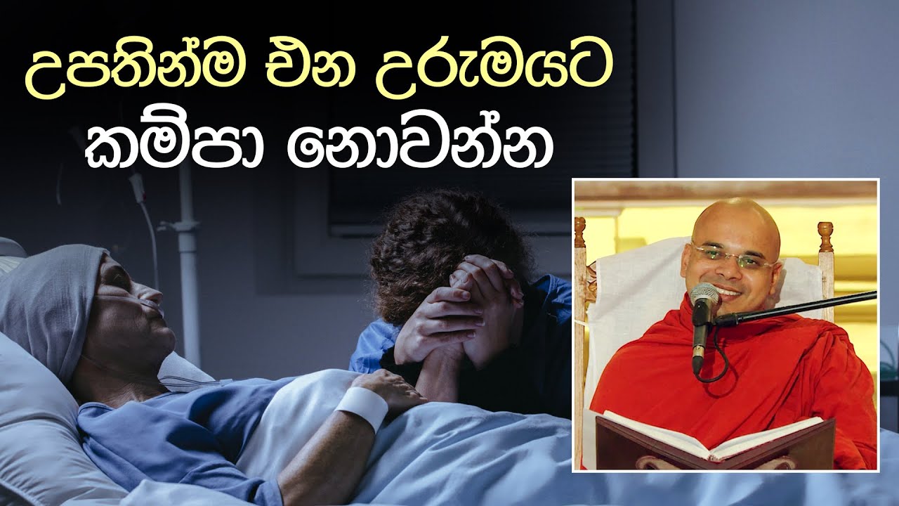 උපතින්ම එන උරුමයට කම්පා නොවන්න (අය්‍යකා සූත්‍රය) | Ven Aludeniye Subodhi Thero