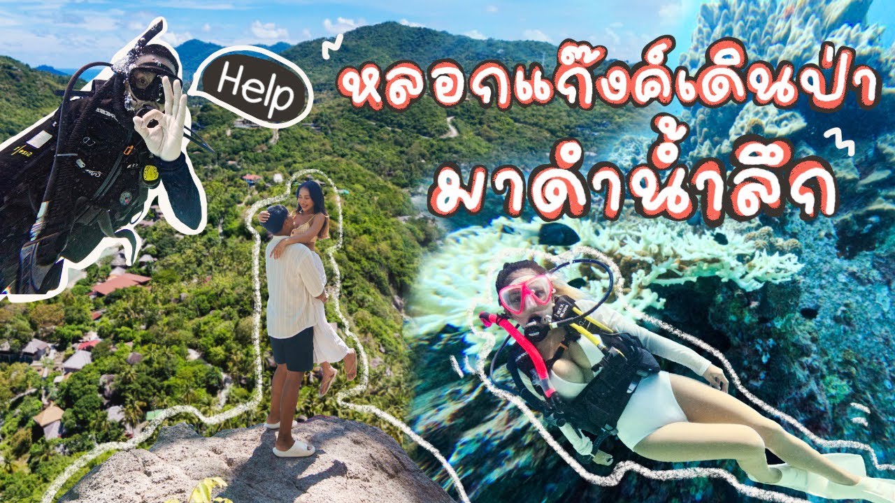 Kohtao Vlog : หลอกแก๊งค์เดินป่า มาดำน้ำลึก
