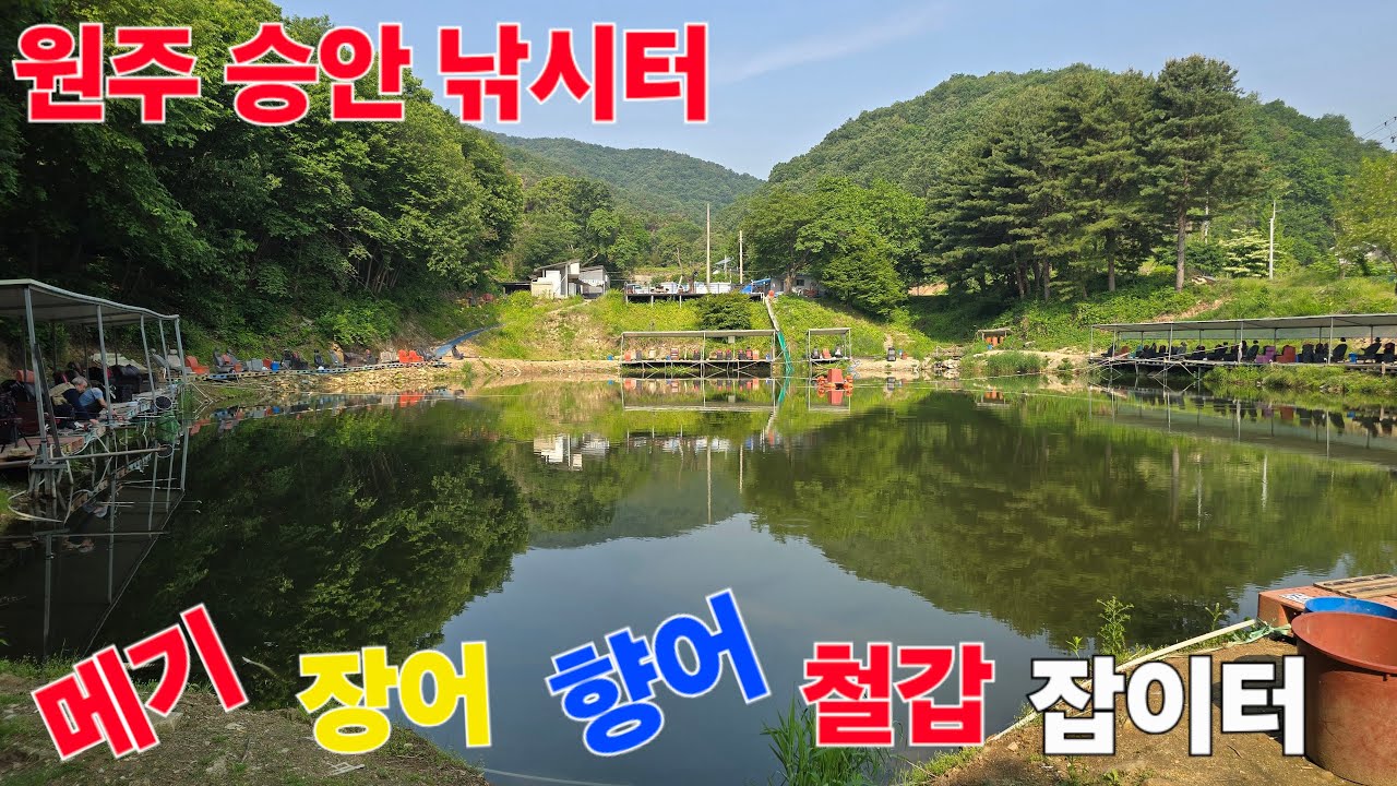 원주 승안 낚시터 메기 장어 향어 철갑 잡이터