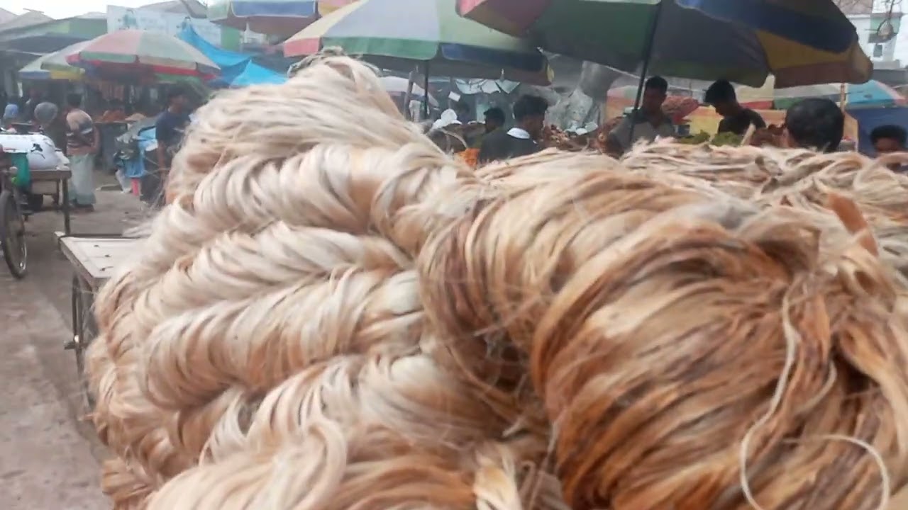 আজকে পাটের বাজার কতো করে গেলো দেখুন🥰৯৷৩৷২০২৬