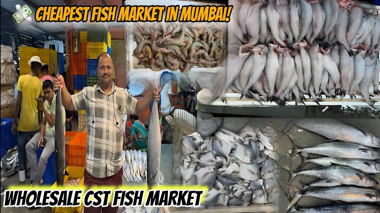 Mumbai CST Fish Market | CST Fish Market | Mumbai Fish Market | Wholesale Fish Market in Mumbai
