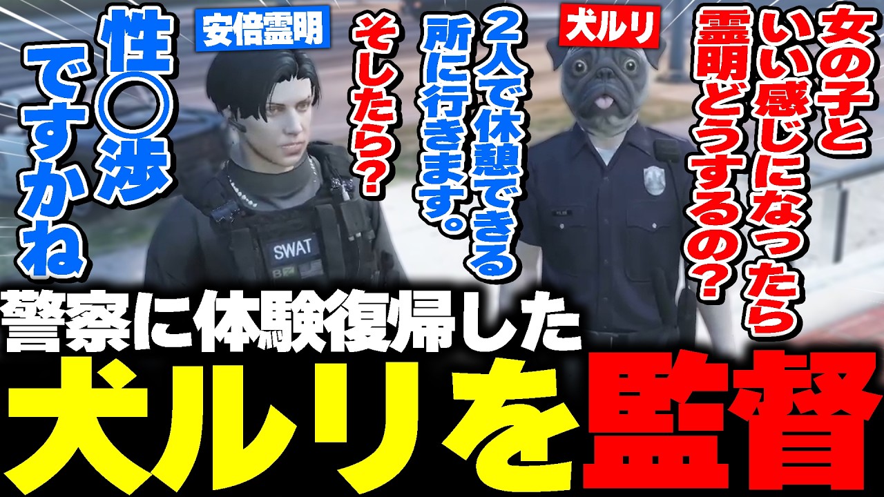 【#ストグラ】警察に復帰した犬ルリの無茶振りに振り回される霊明www【アベレージ/Mondo/馬人】