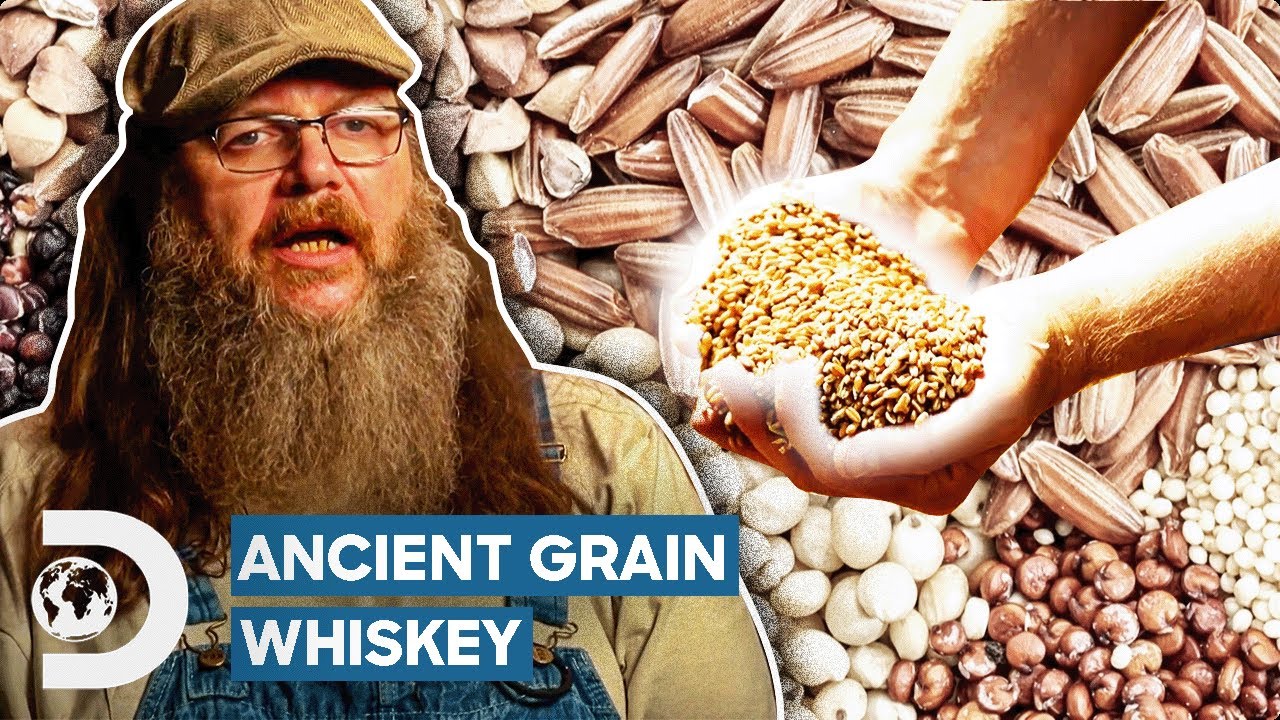 Ancient Grain Whiskey STUNS The Judges! | Moonshiners: Master Distiller