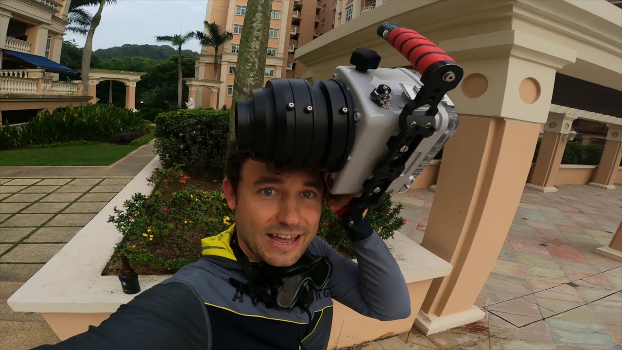 Don't scuba dive in Singapore