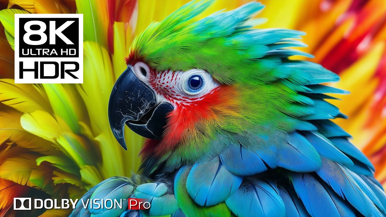 8K BIRDS 🌿 Stunning WORLD OF BIRDS in 8K ULTRA HD - Peaceful Relaxing Music for Deep Sleep