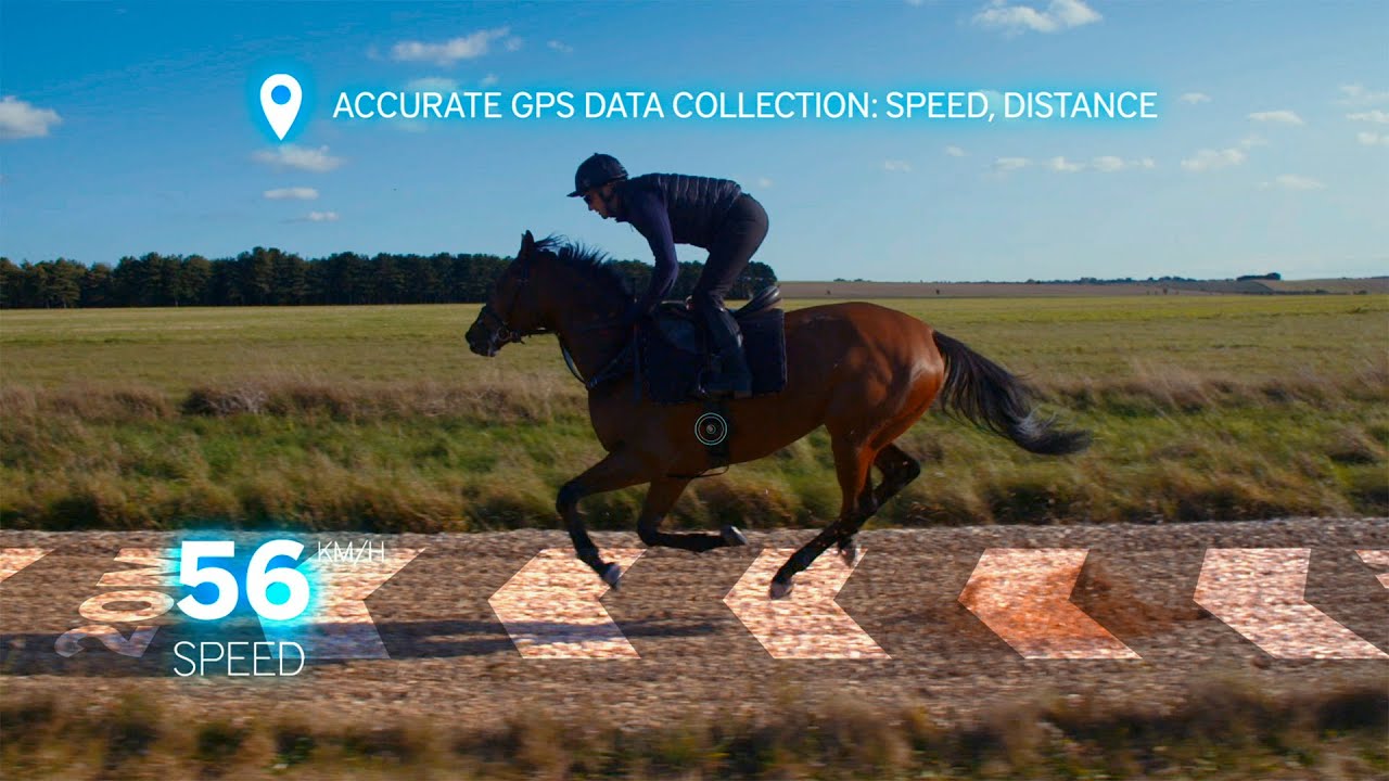 EQUIMETRE - The number one racehorse training monitor 🏇