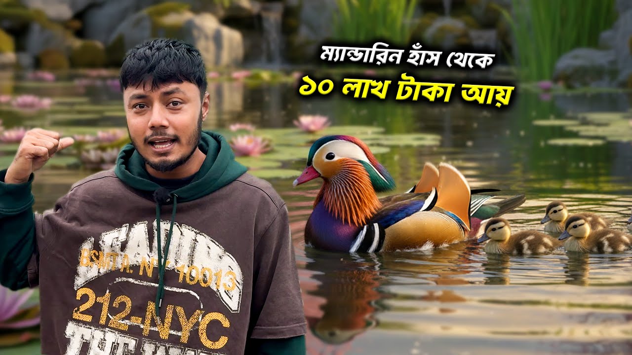 ম্যান্ডারিন হাঁস পালন করে ৩ মাসে ১০ লাখ টাকা! 😱