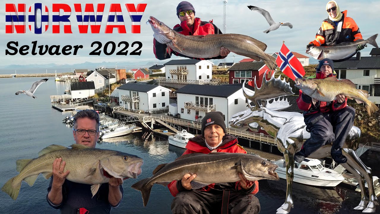 Fishing in Norway 2022 - Island Selvaer near Traena, English Edition