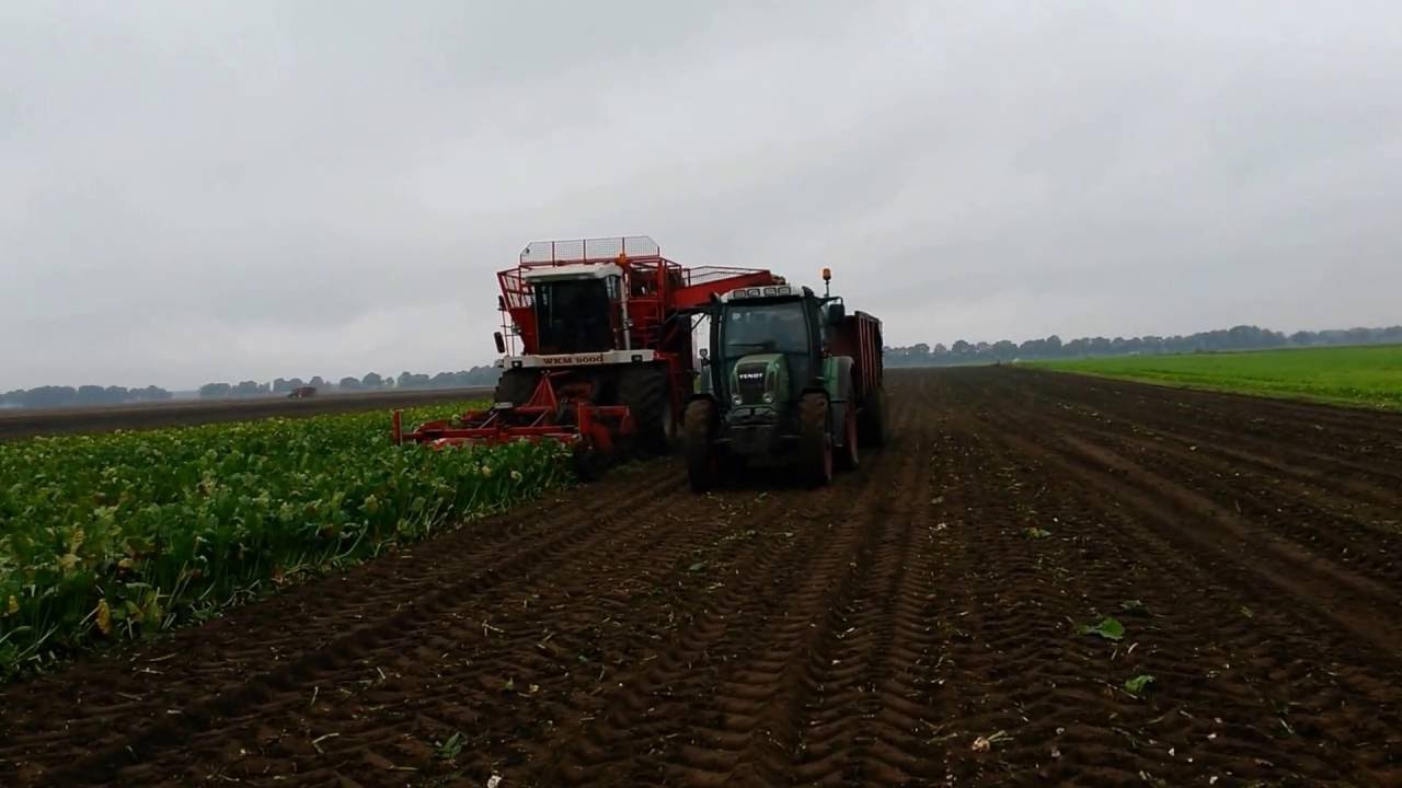 Bietenrooien met WKM 9000