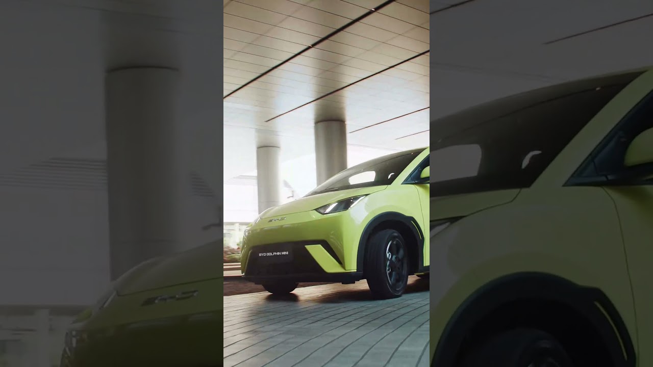 BYD DOLPHIN MINI | Function