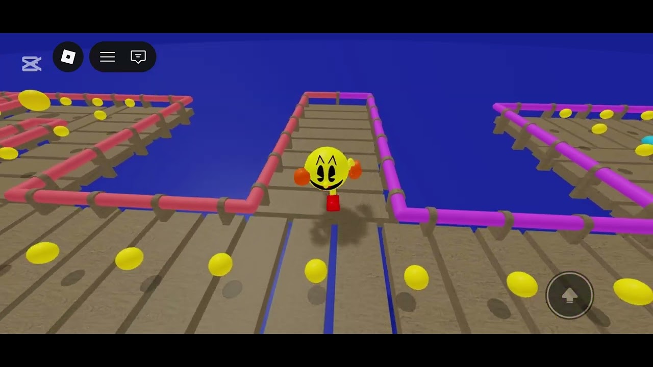 PAC-MANIA and PAC-MAN VS RE-PAC