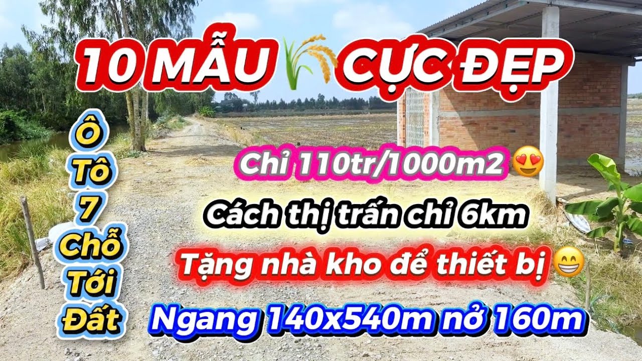 ( số 18 ) 10 mẫu đất lúa siêu đẹp - siêu rẻ - siêu phát triển tại Mộc Hoá - Long An