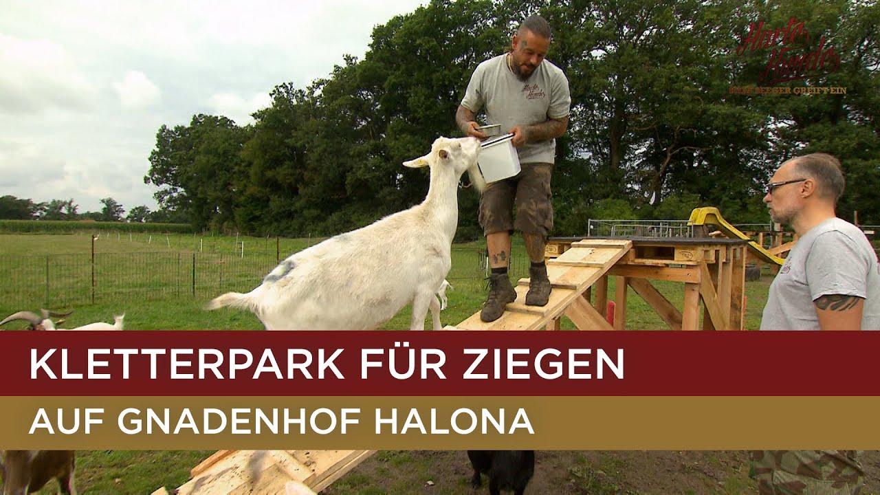 Eine neue Herausforderung wartet auf die 