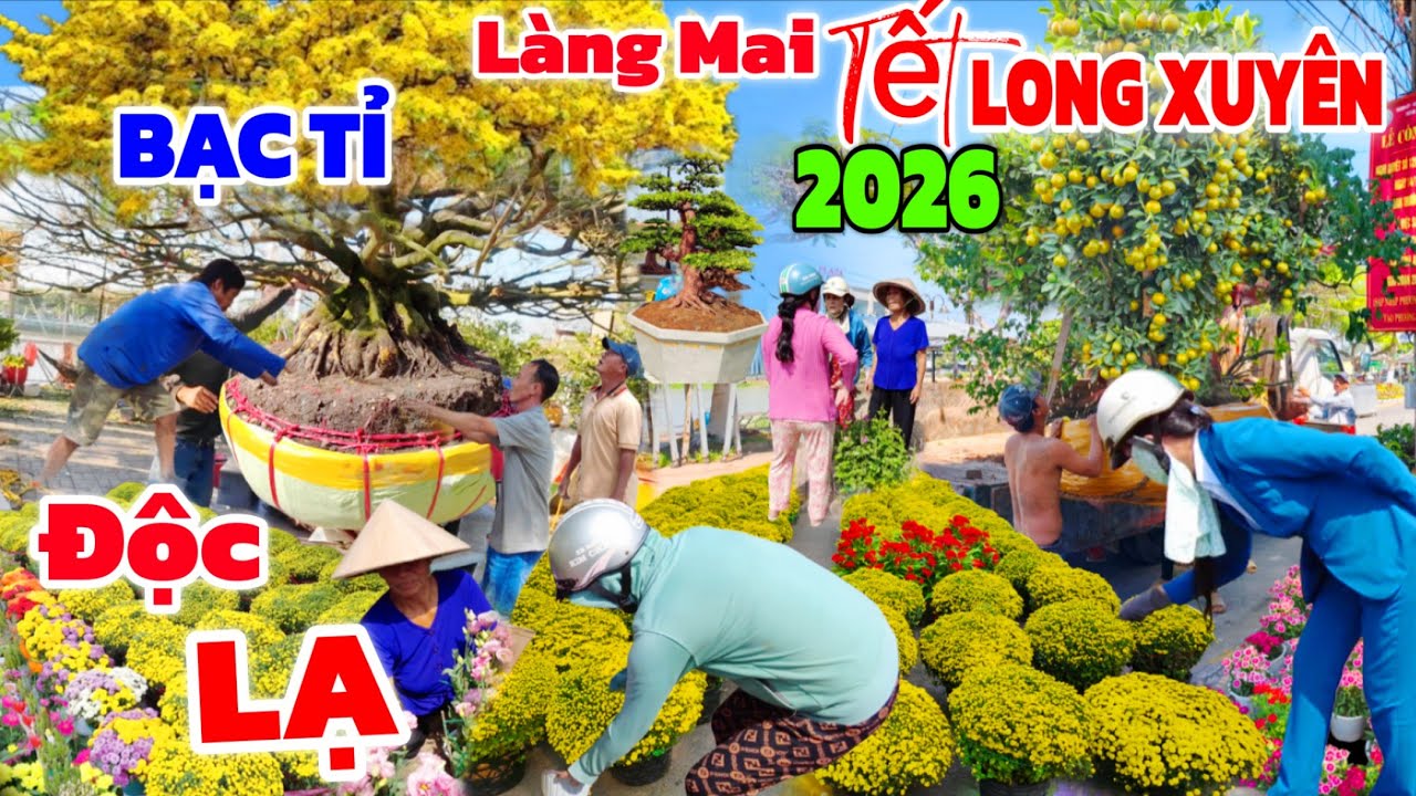 Rộn RÀNG chợ Hoa Tết Long Xuyên 2026/ ĐỘC LẠ xóm Mai Vàng 100 Tỷ giá Tắc siêu Rẻ