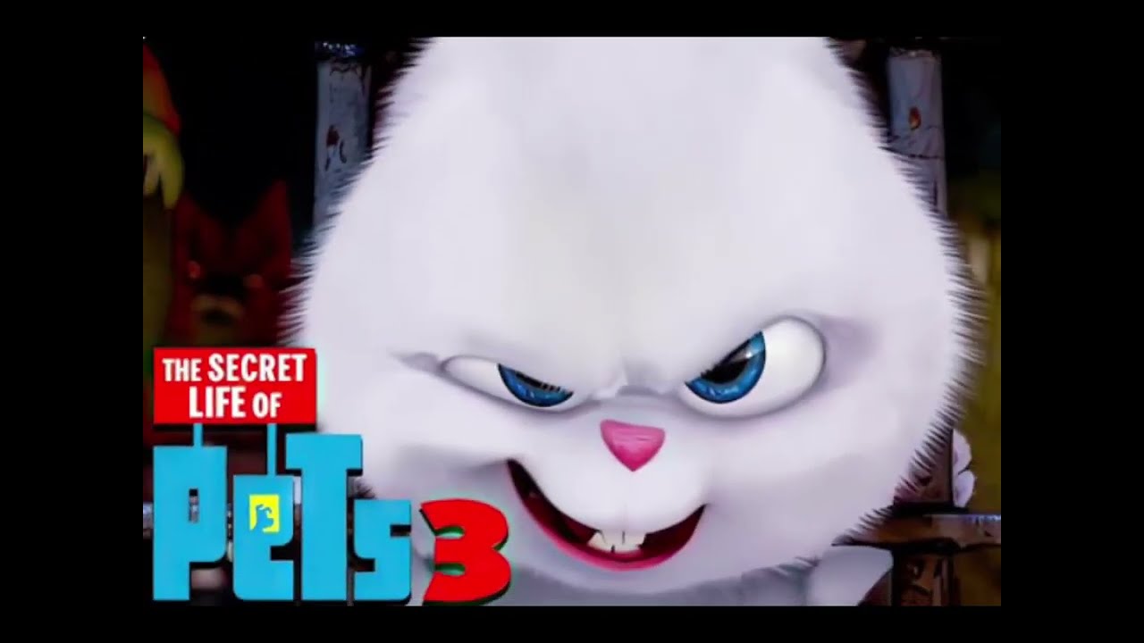All Illumination Title Cards (2010-2024)