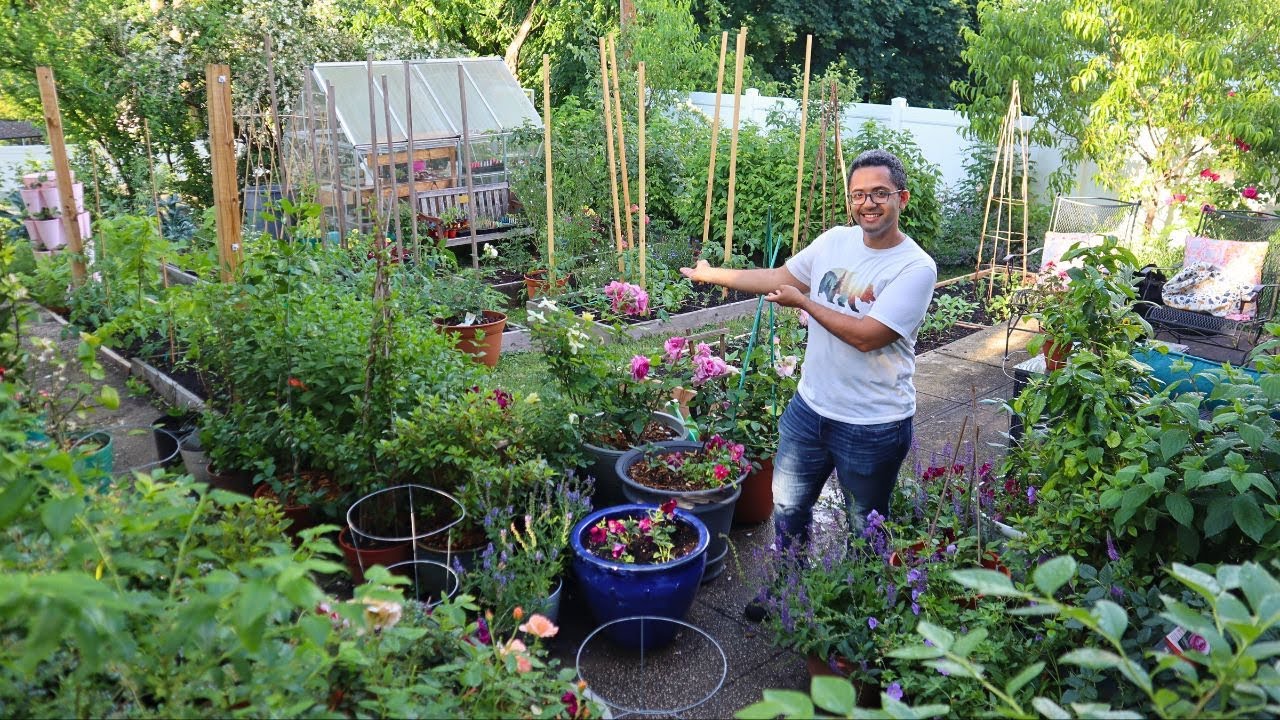 Beautiful NY Backyard Garden Tour // Early June 2024 | Chris's Garden