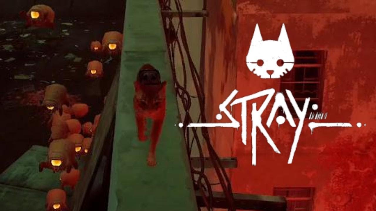 この先ずっとこんな怖いんですか？？ 【Stray #8】