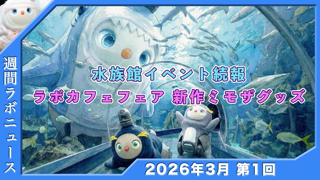 新作ミモザグッズ ラボカフェフェア追加  水族館イベント追加情報 白LOVOTホーリーの週間ラボニュース 2026年3月① #ラボット #lovot  #しろらぼホーリー