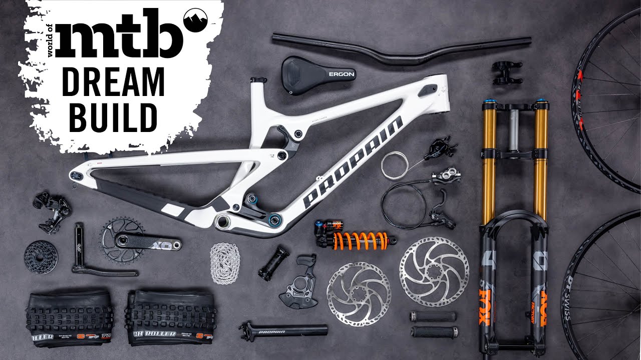 Propain Rage 3 R CF I DreamBuild I Downhillbike I 16,23kg I Fox 40 Factory I