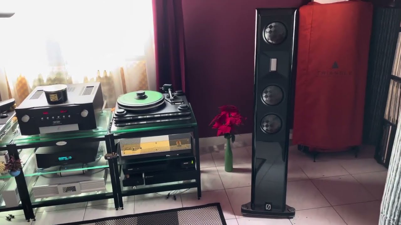 Borresen X3, Lumin P1, Mark Levinson No.585. www.nlaudio.hu Bejelentkezés +36 30 957 1854.