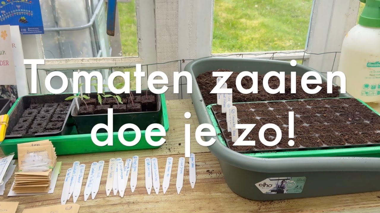 Ini's Moestuin #227 - Maart: Tomaten zaaien doe je zo! Aardappels poten, uien en kolen uitplanten.