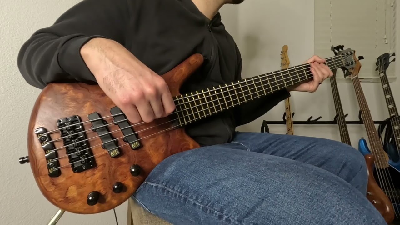 Mudvayne - Internal Primates Forever (Bass Cover)