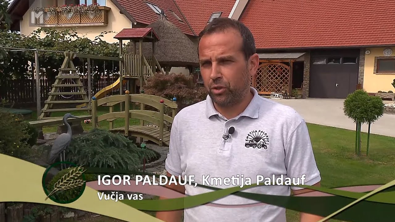IMK 2019 - Igor Paldauf (INOVATIVNI MLADI KMET 2019)