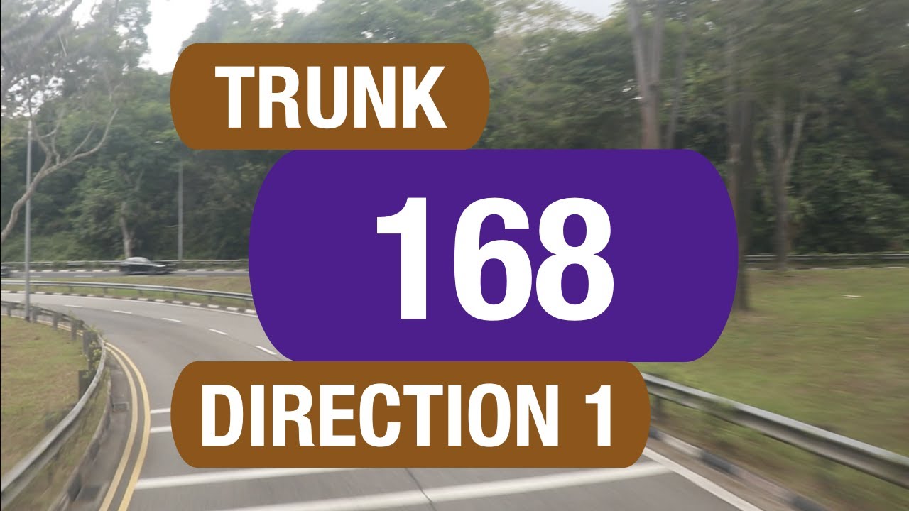 SBS Transit Trunk 168 (Direction 1) | Bus Service Route Visual