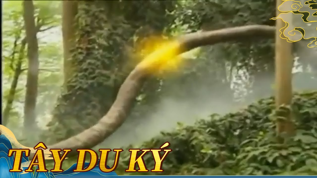 Xà Tinh nuốt Tôn Ngộ Không vào bụng nào ngờ Ngộ Không phá bụng thoát ra！孙悟空被蛇妖一口吞进肚子 没想到下一秒直接破肚而出！