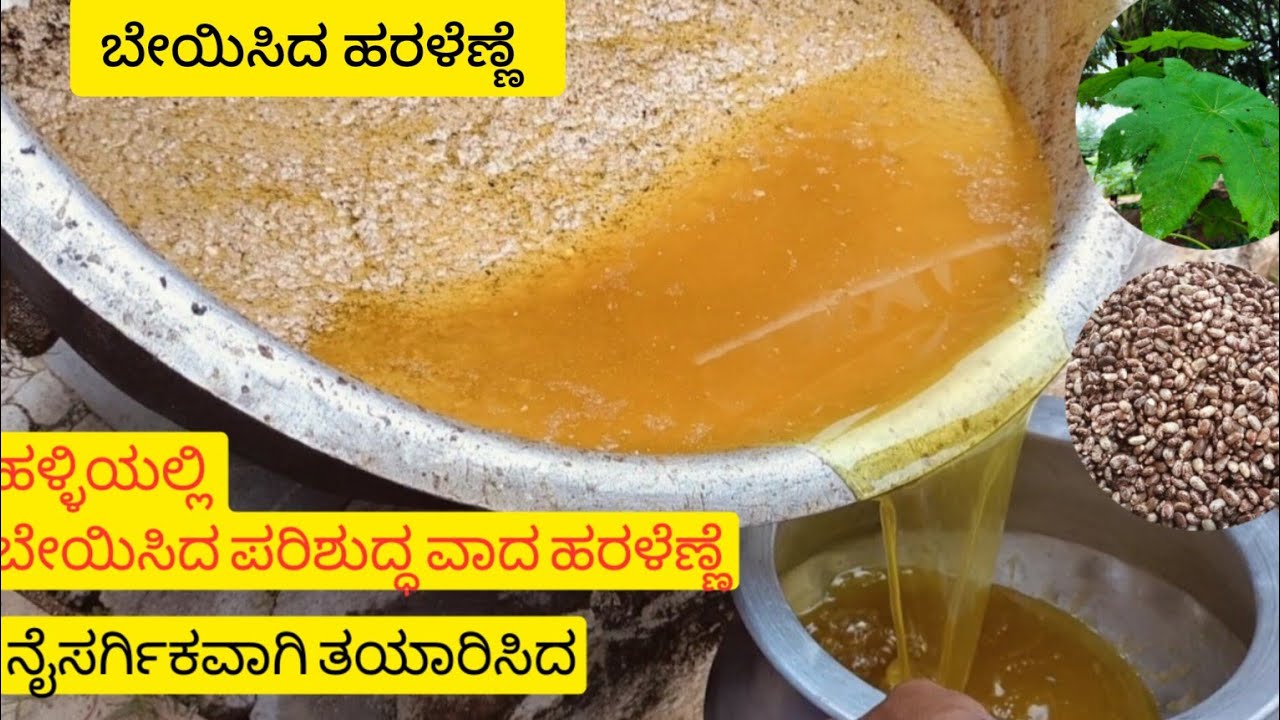 TRADITIONAL METHOD OF MAKING CASTOR OIL | ಹಳ್ಳಿಯಲ್ಲಿ ಹರಳೆಣ್ಣೆ ಹೇಗೆ ತೆಗೆಯುತ್ತಾರೆ ಗೊತ್ತ? ಈ ವಿಡಿಯೋ ನೋಡಿ