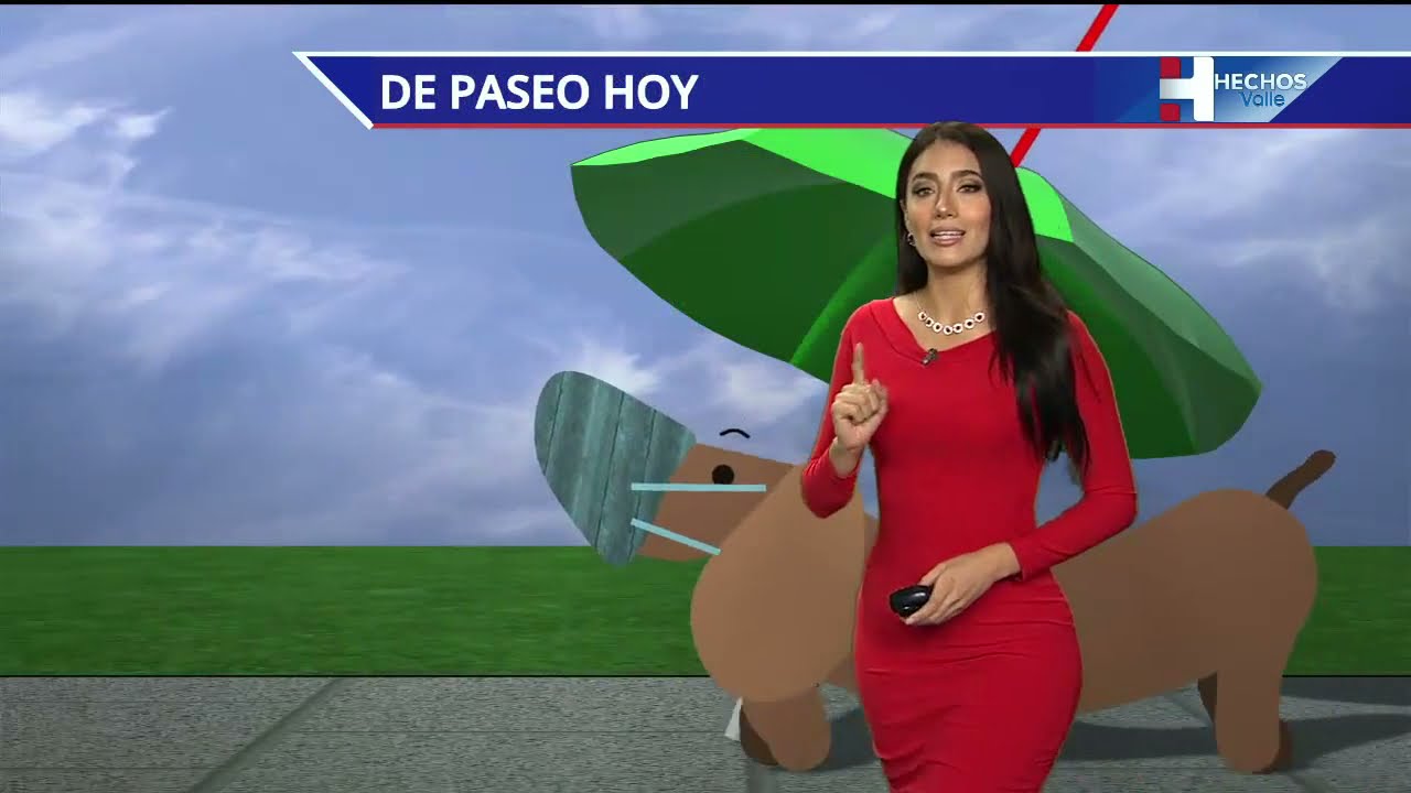 Video 4