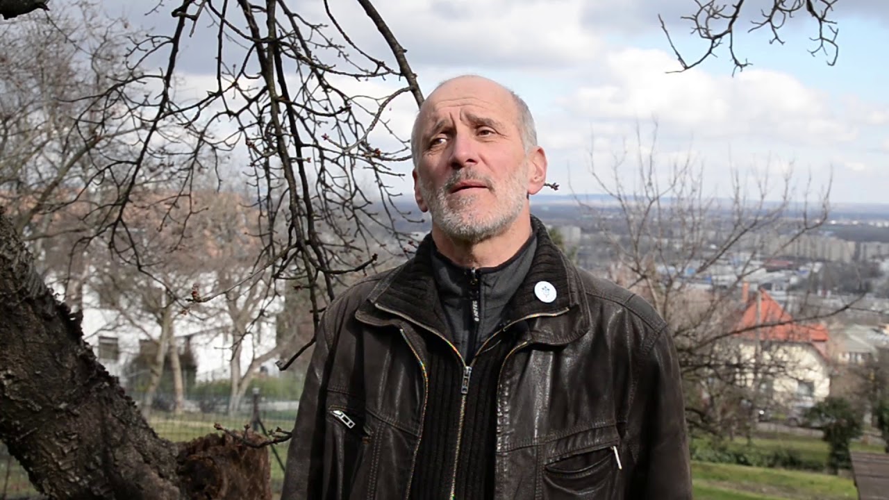 Tavaszi lemosó permetezés