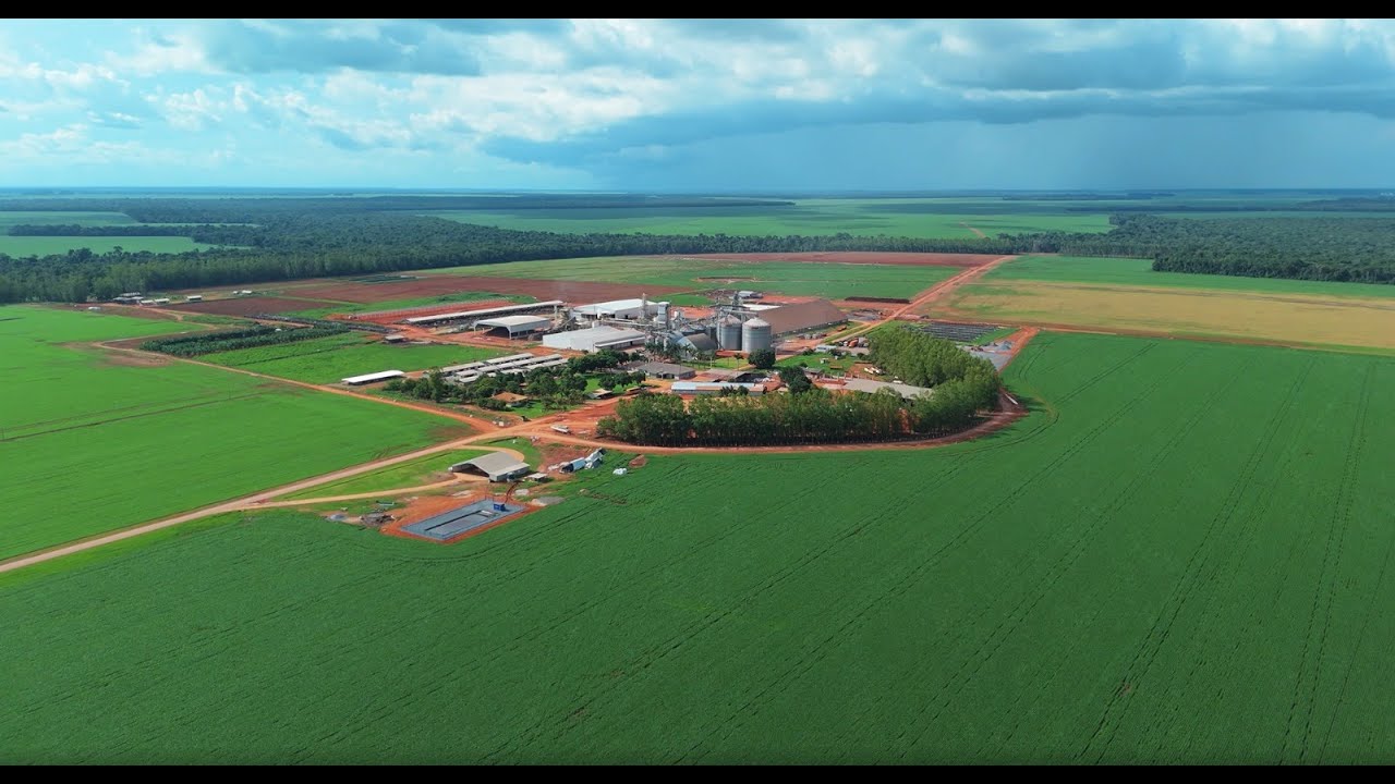 VISITA TÉCNICA FAZENDA HORIZONTINA - MT