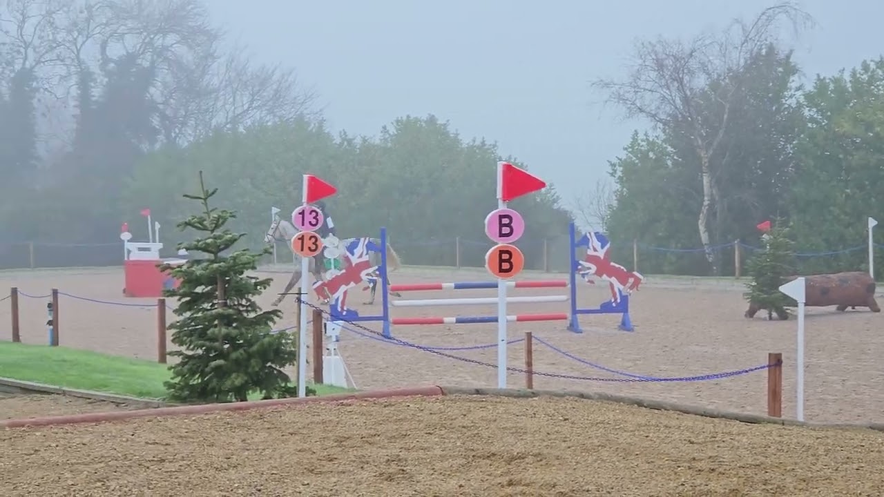 Blue and Amelia's first ever arena event at 80cm. Not a terrible start to their journey together. . 