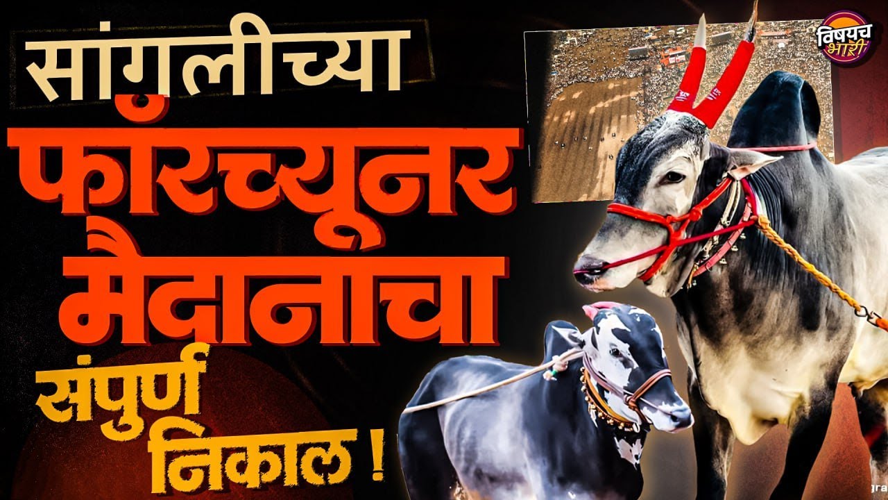 Bailgada Sharyat LIVE : Chandrahar Patil यांच्या Shrinath Kesari बैलगाडा शर्यत चा संपूर्ण निकाल