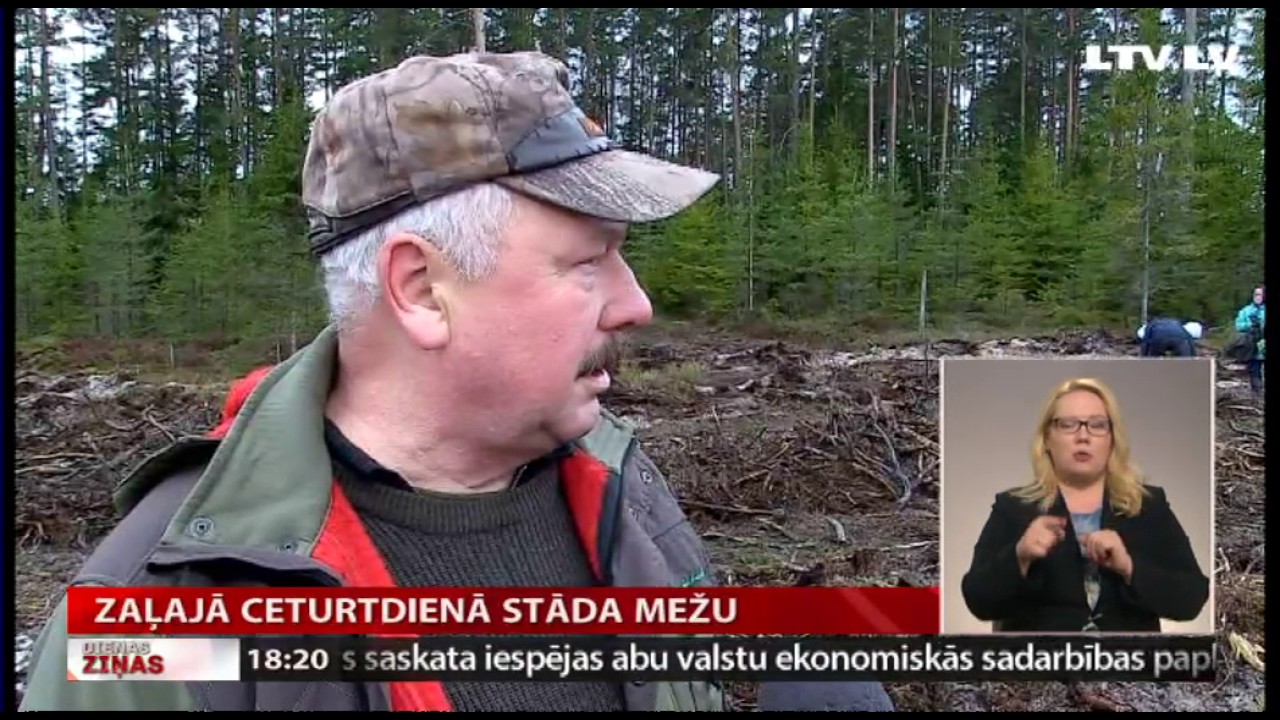 Zaļajā ceturtdienā stāda mežu