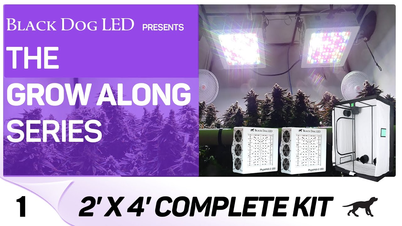(2) PhytoMAX-2 200 | Grow Along | MAC l 2x4 Tent l Episode 1