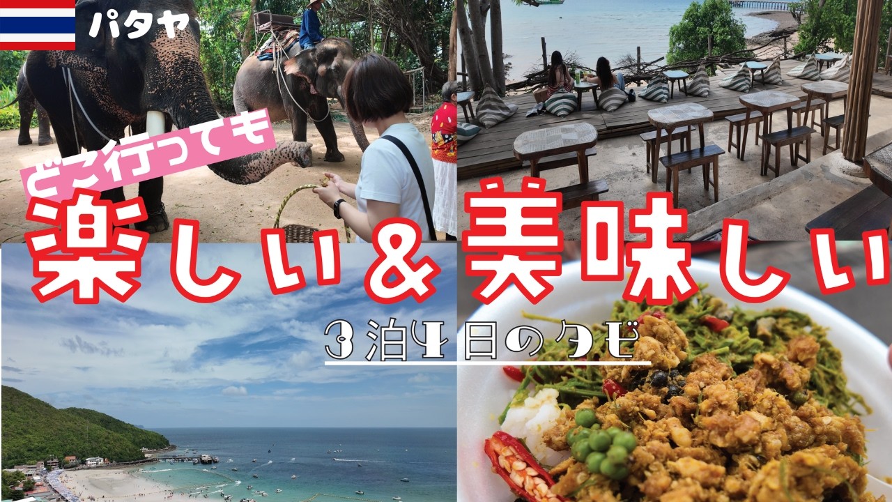 【タイ】パタヤ観光地巡り！！｜3泊4日のタビ②