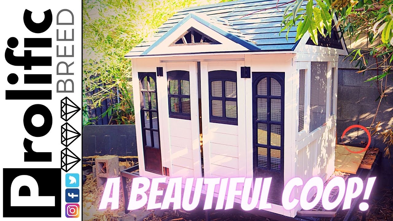 DIY NICEST BACKYARD CHICKEN COOP | HOW TO BUILD | EASY TO CLEAN