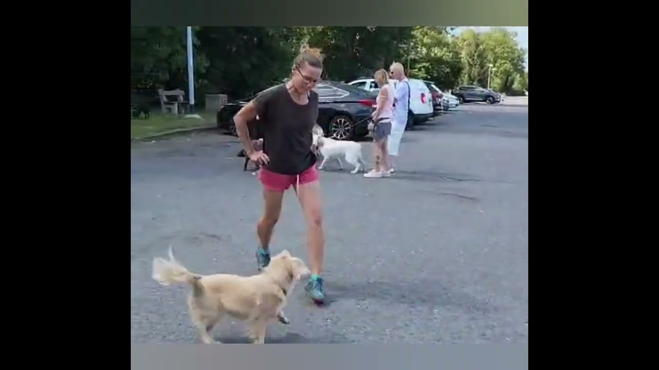 S útulkáčky na výletě