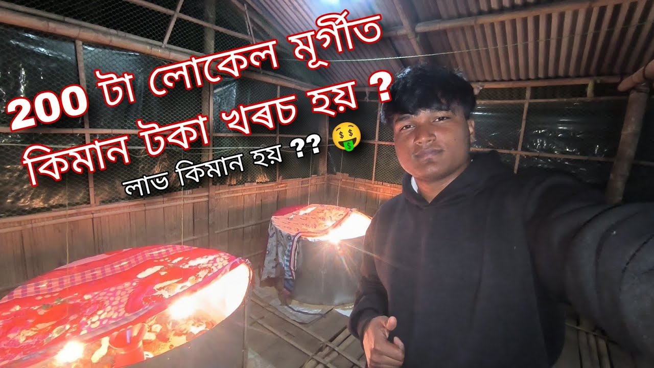 200 টা লোকেল মূৰ্গীত কিমান টকা খৰচ হয় আৰু লাভ কিমান হয়?? 😱 ।।‌Traveller Aditya