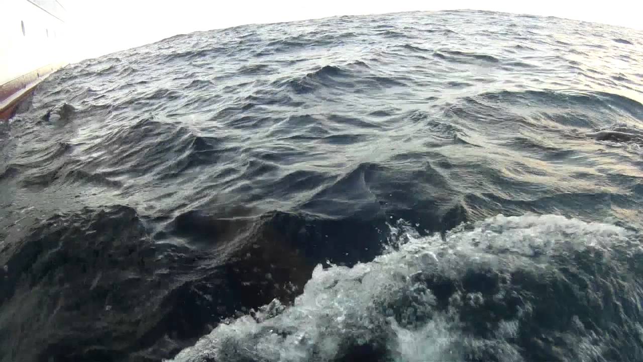 South African West Coast Hake Survey conducted on the RV Dr Fridtjof Nansen