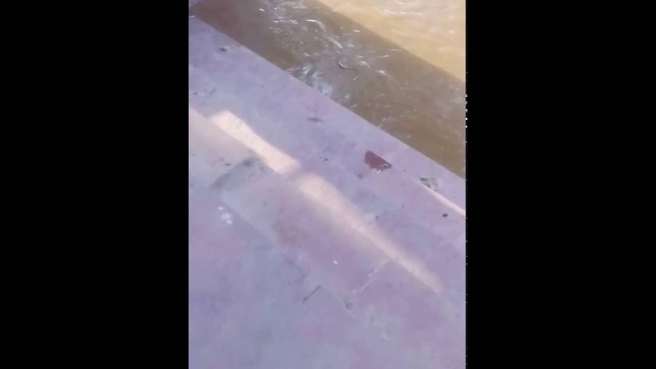 Patna ganga ghat at high alert by flood risk
