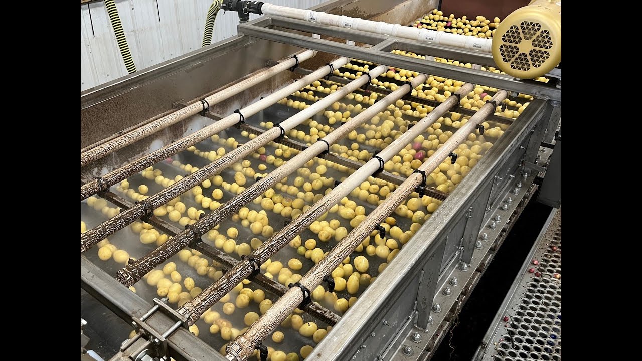 Mayo Potato Brush Washer
