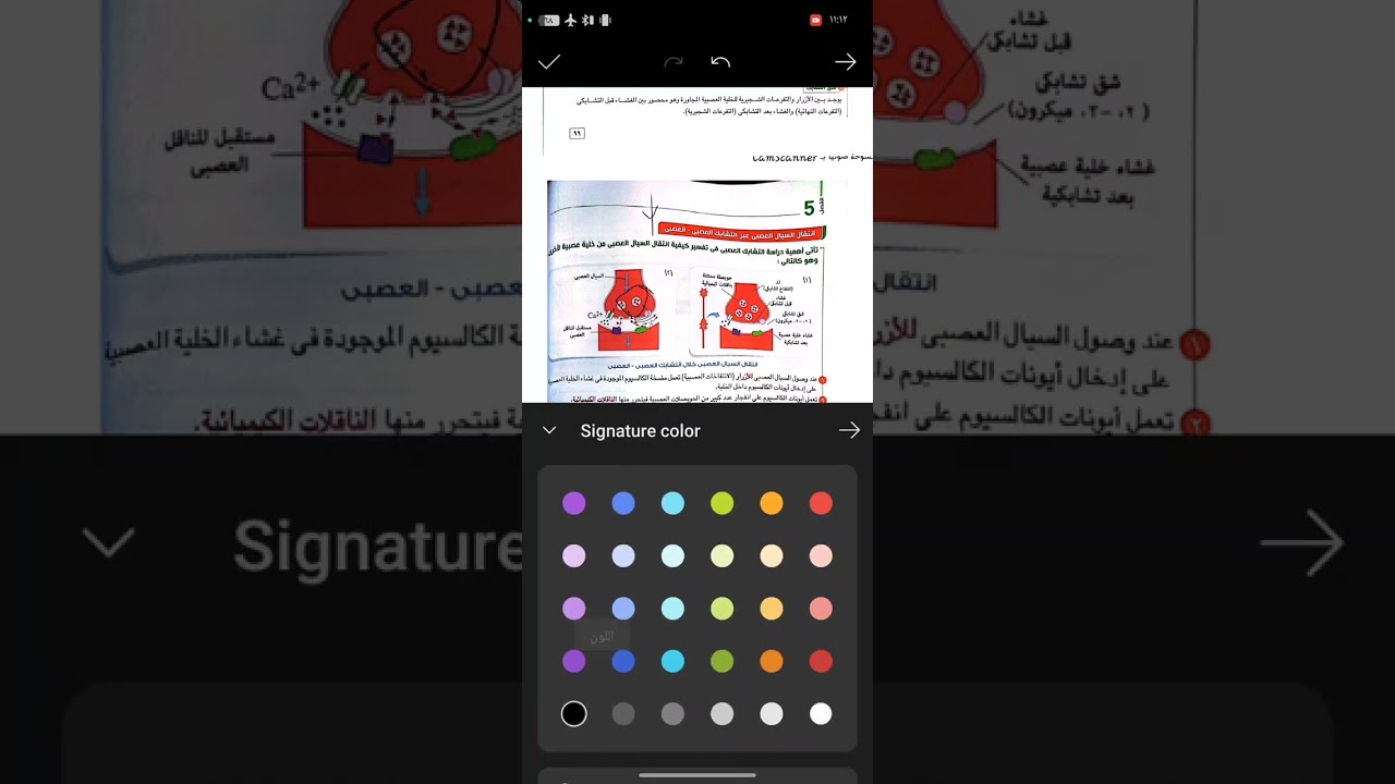 الدرس الرابع و قبل الأخير #الجهازـالعصبيـالمركزي 🧠